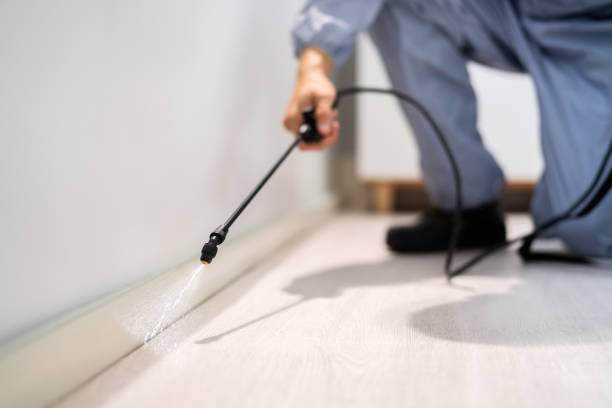 Licensed Mosquito Control service in Berthoud, CO - Show Me Pest Control
