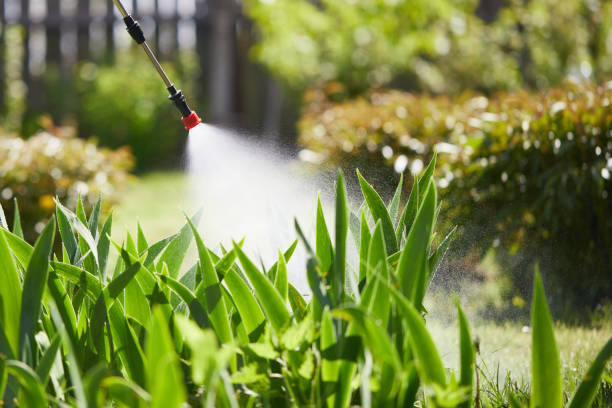 24/7 Emergency Mosquito Control experts in Berthoud, CO
