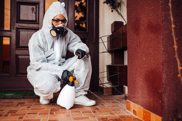 Reliable Mosquito Control contractor in Berthoud, CO by Show Me Pest Control